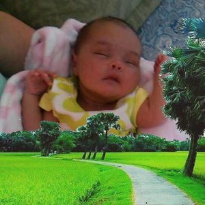 Meet your Posher, Nancy